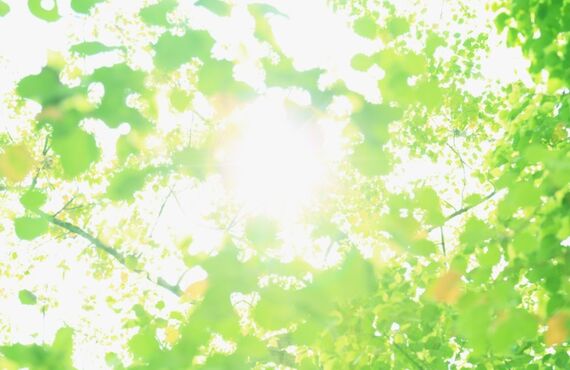 ビルのメンテナンス、お任せ下さい｜株式会社RALZ-Association®